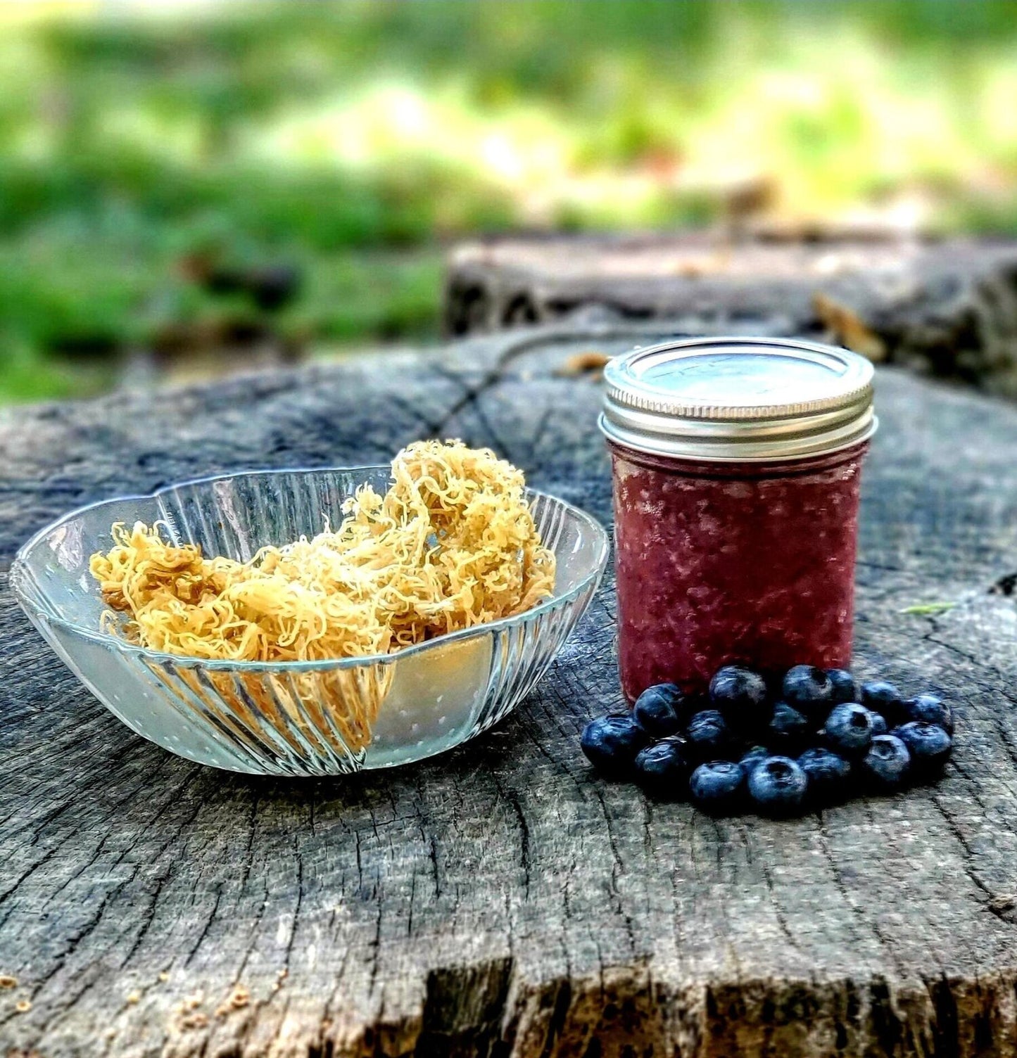 16 oz Blueberry Irish Sea Moss Gel