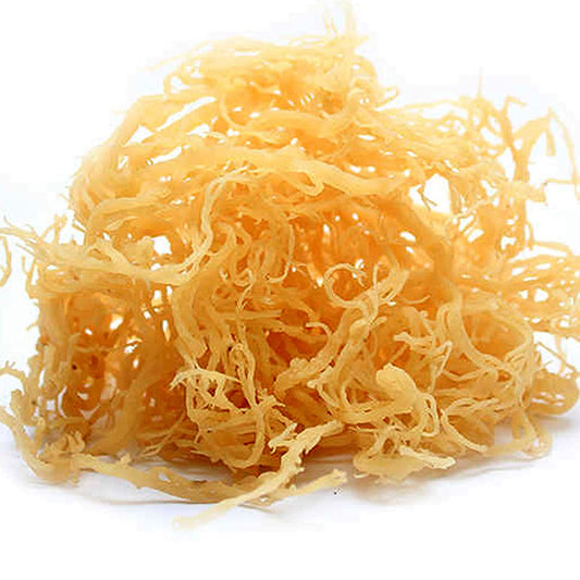 8 oz Sundried Raw Irish Sea Moss